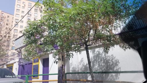 عکس دبیرستان ندای کوثر