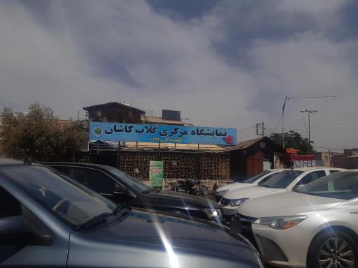 گنجینه گل و  گلاب کاشان