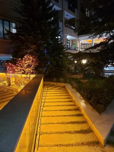 عکس مجتمع میخک