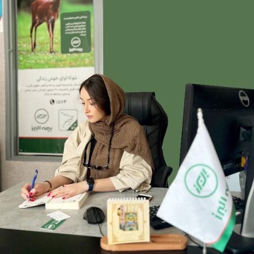 عکس نمایندگی بیمه البرز