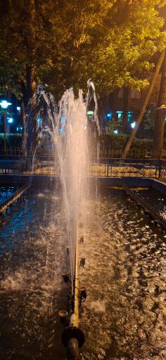 عکس باغ پردیس