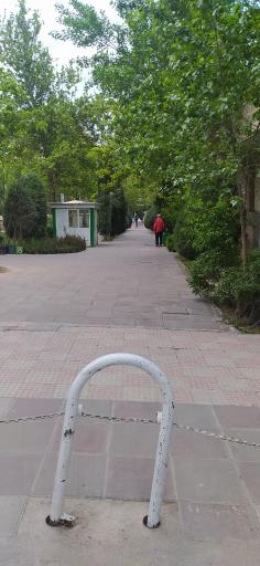 عکس بوستان ارکیده