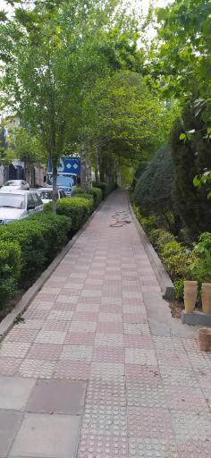 عکس بوستان ارکیده