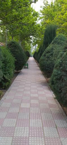 عکس بوستان ارکیده