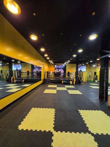 عکس باشگاه ورزشی اکسیر