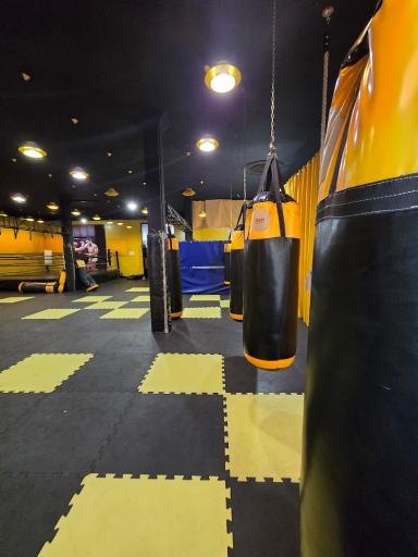 عکس باشگاه ورزشی اکسیر