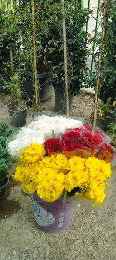 عکس کلینیک گل و گیاه مرزداران