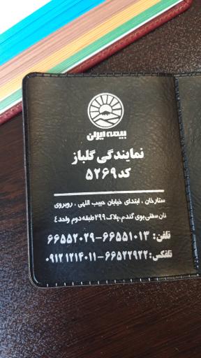 عکس بیمه ایران -گلباز 5269