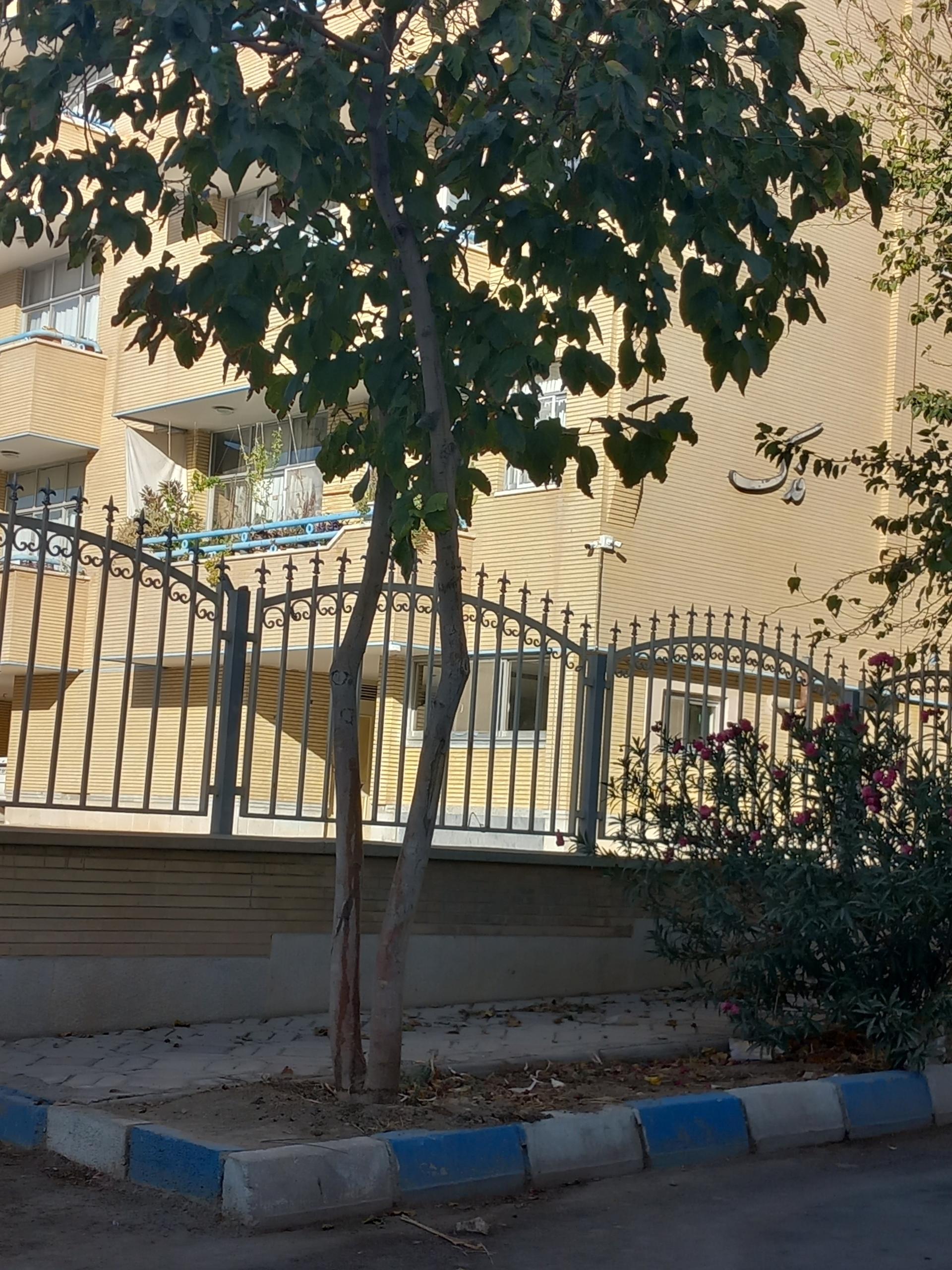 عکس مجتمع فدک