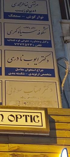 دکتر ایوب نادری
