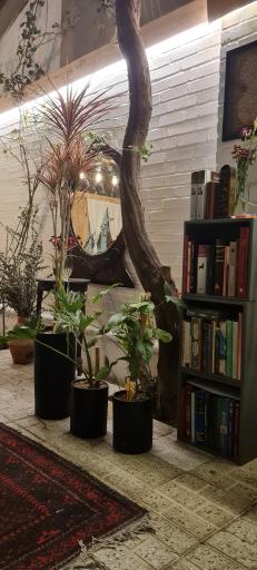 عکس تار کافه