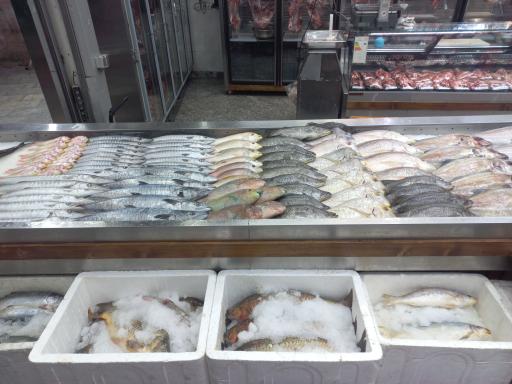 عکس شجاعی پروتئین