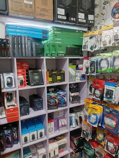 عکس رایان لند 