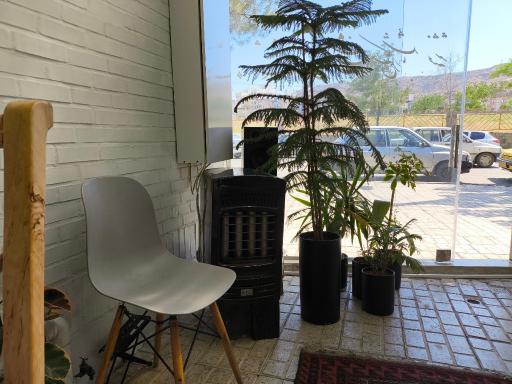 عکس تار کافه