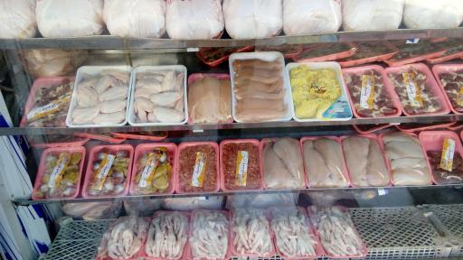 عکس مرغ و تخم‌مرغ قدقد