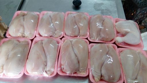 عکس مرغ و تخم‌مرغ قدقد