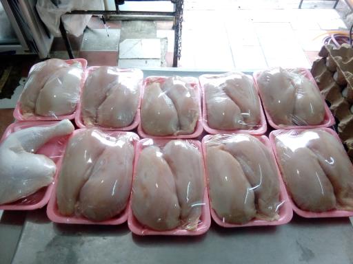 عکس مرغ و تخم‌مرغ قدقد