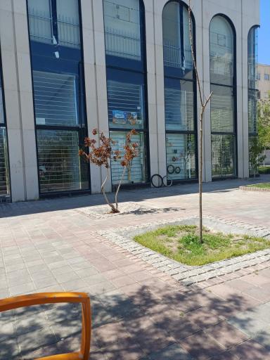 عکس فروشگاه لوازم یدکی و تعمیرات دوچرخه امیر
