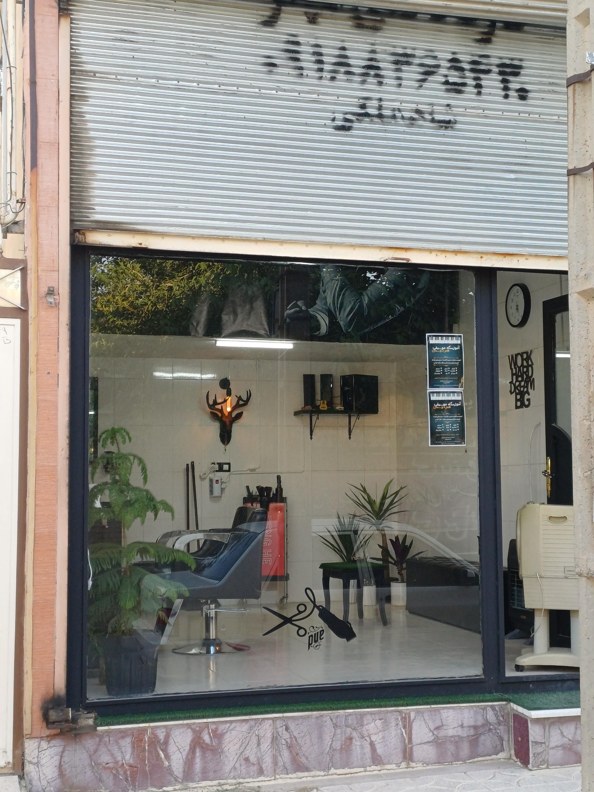 عکس پیرایش بلک کات