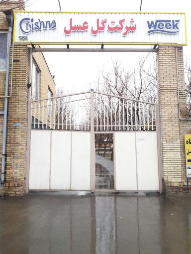 شرکت گل عسل