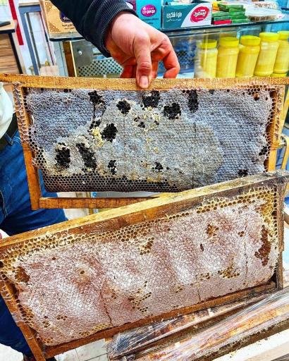 عکس لبنیاتی البرز مهرداد