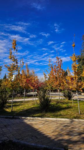 عکس موزه مهر و سکه