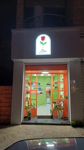 عکس گلفروشی خانوم گل