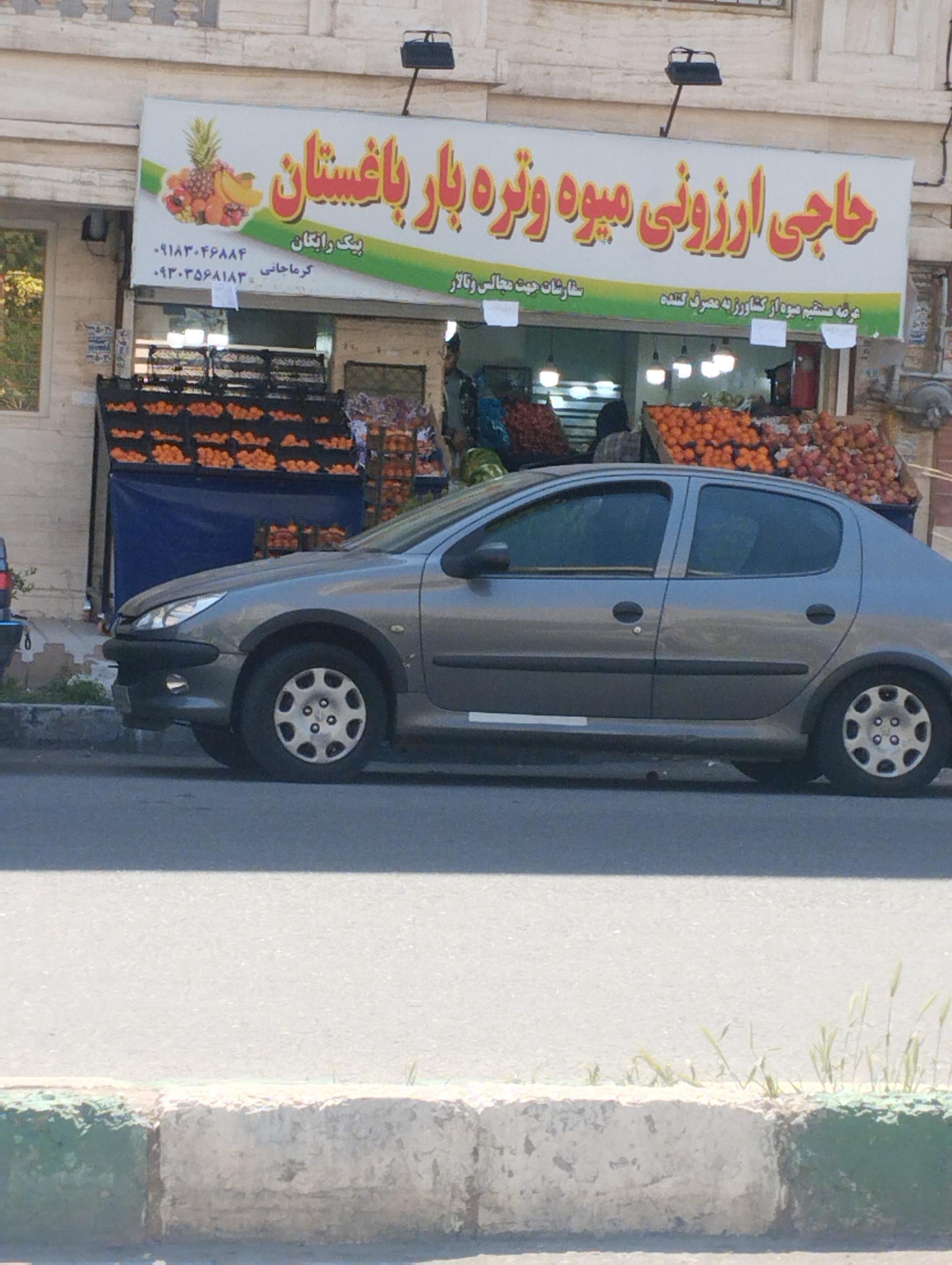 عکس حاجی ارزونی میوه و تربای باغستان