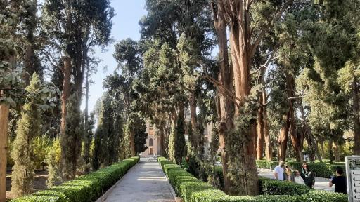 عکس باغ فین