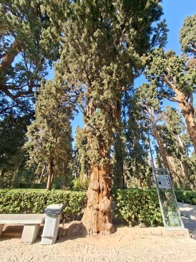 عکس باغ فین