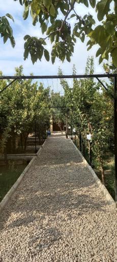عکس بوم گردی شبستان