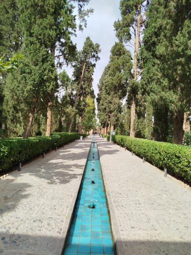 عکس باغ فین