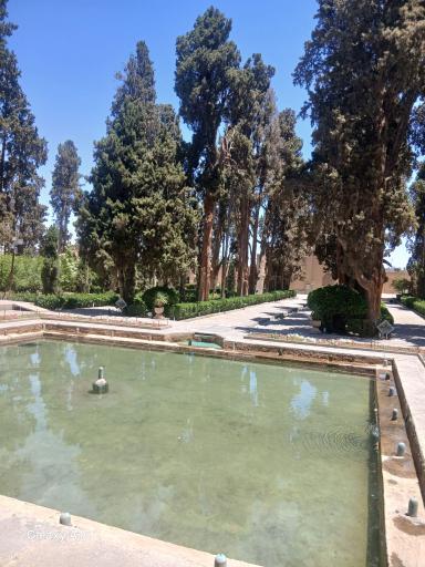 عکس باغ فین