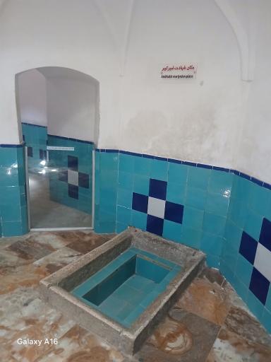 عکس باغ فین