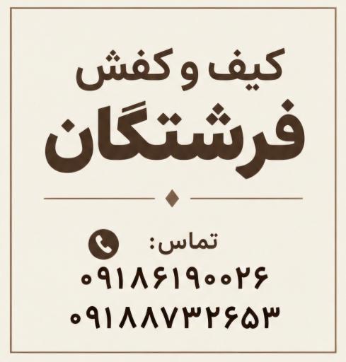 عکس کیف و کفش مجلسی فرشتگان 