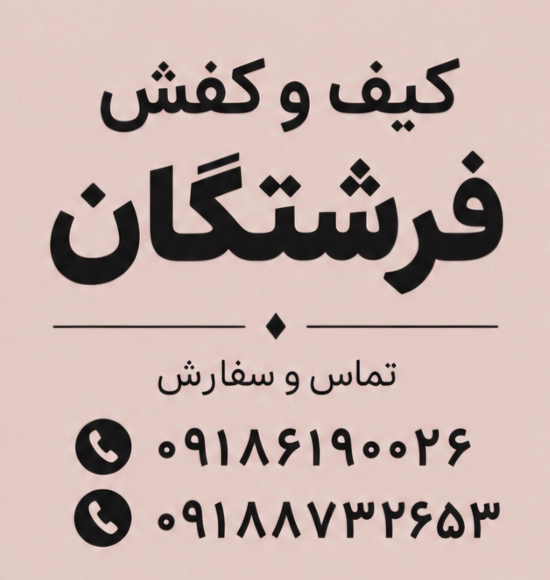عکس کیف و کفش مجلسی فرشتگان 