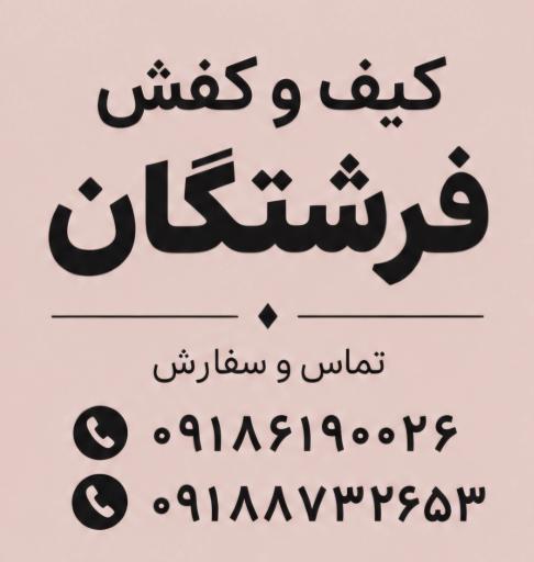عکس کیف و کفش مجلسی فرشتگان 