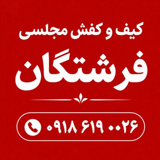 عکس کیف و کفش مجلسی فرشتگان 