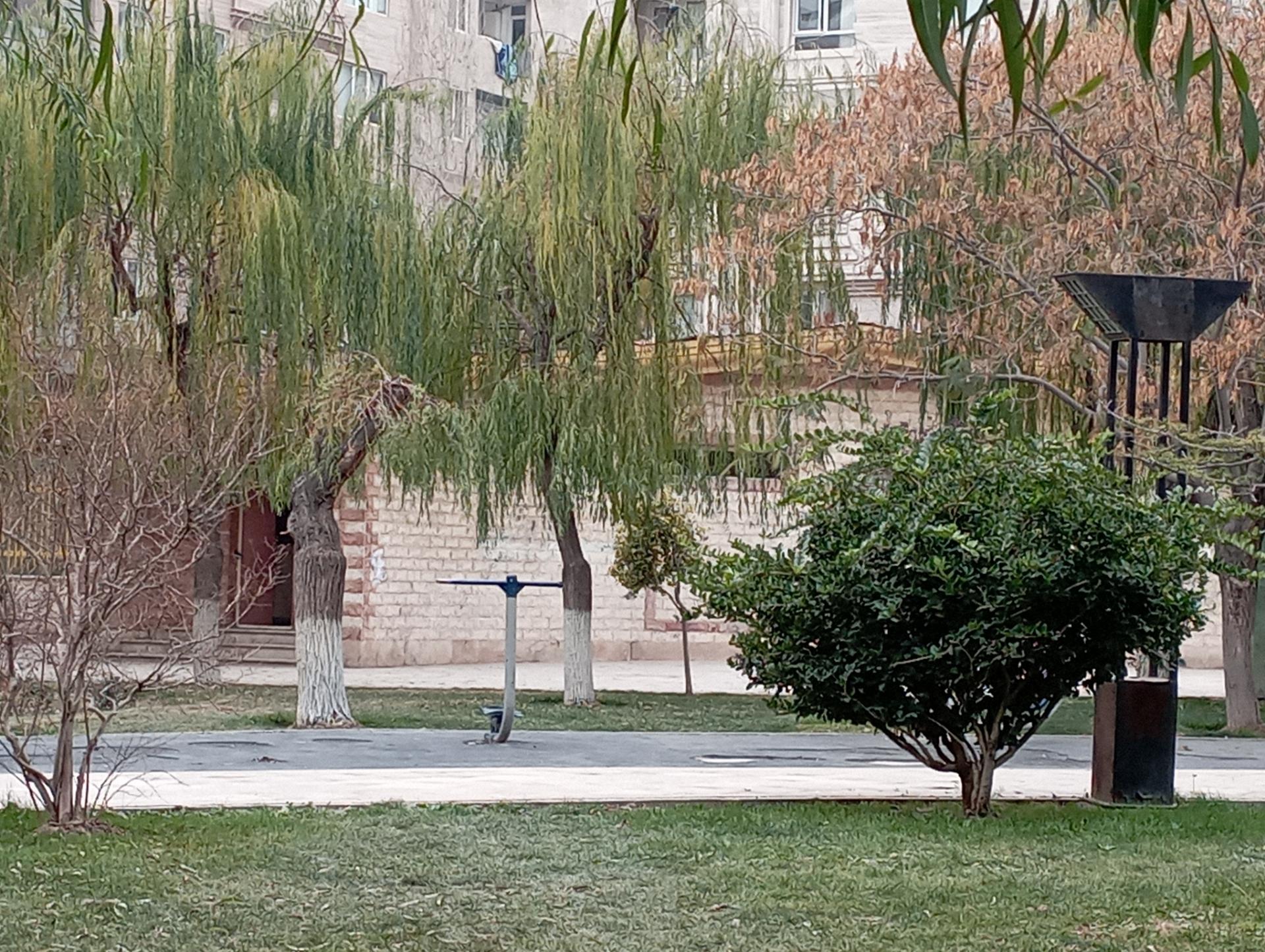 عکس سرویس بهداشتی