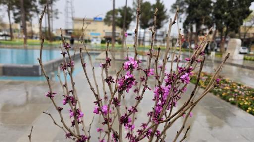 باغ ملی