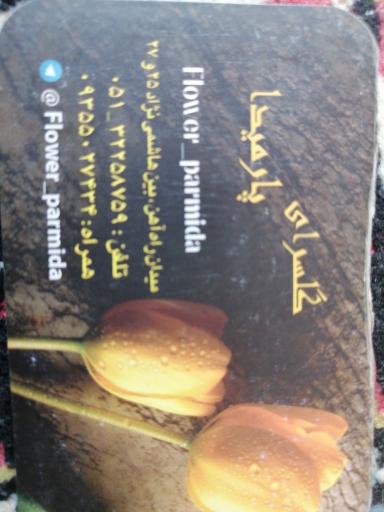 عکس گل پارمیدا