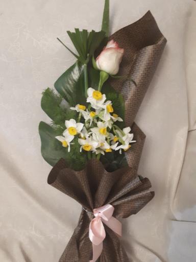 عکس گل پارمیدا