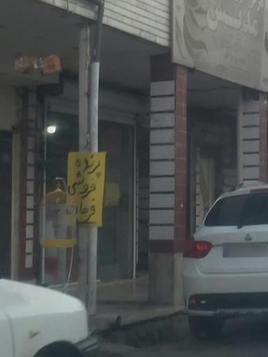 پرنده فروشی فرهادی