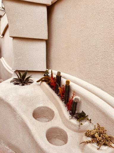 عکس کافه رستوران لیلو