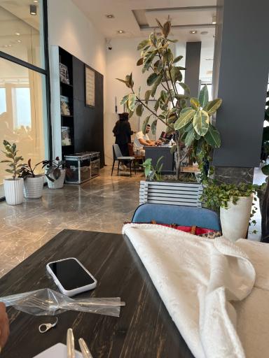 عکس رستوران تمیشون