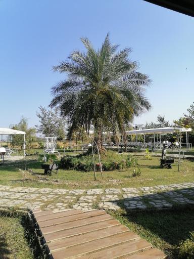 عکس رستوران تمیشون