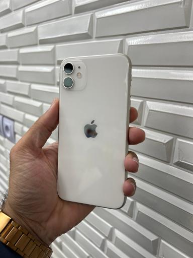 عکس پخش باراد