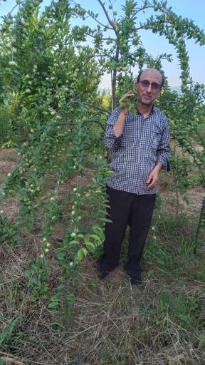 عکس باغ جنت چالکسرا 