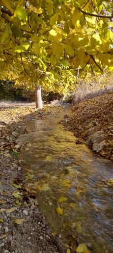 عکس غرق آباد