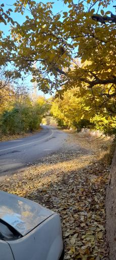 عکس غرق آباد